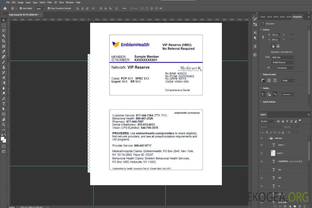 Carte de certificat de santé USA New York EmblemHealth template
